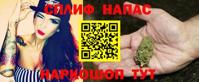 трава Тара
