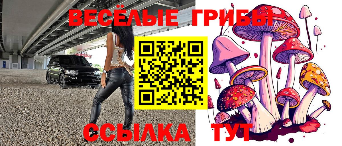 даркнет сайт  Псилоцибиновые грибы мухоморы  Вход с VPN  Бийск 