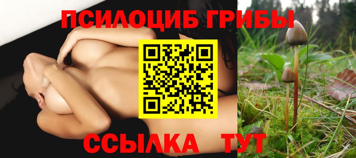 Псилоцибиновые грибы GOLDEN TEACHER Бийск